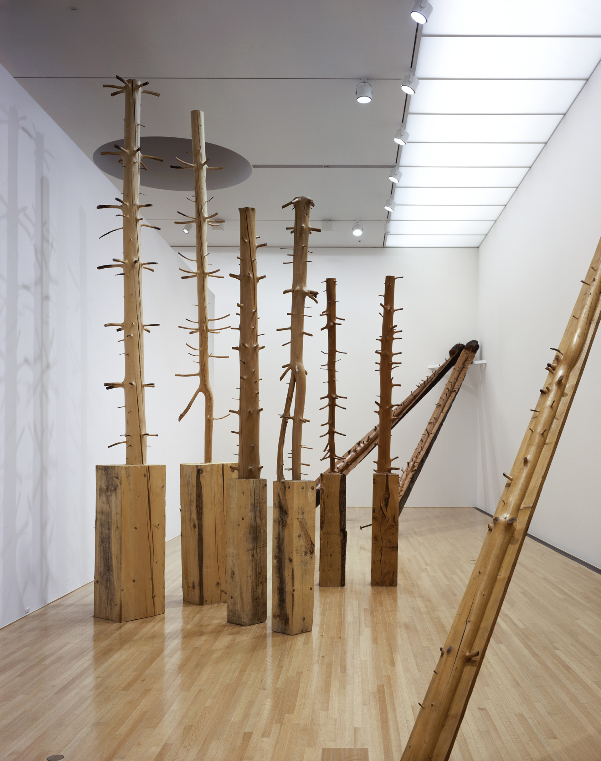 Giuseppe Penone - Museum Voorlinden