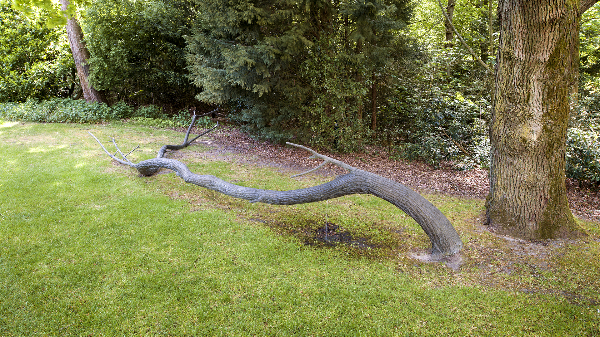 Giuseppe Penone - Museum Voorlinden