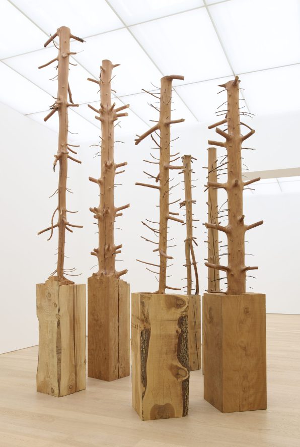 Giuseppe Penone - Museum Voorlinden